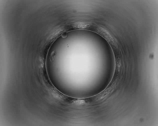 X0000098130374200804171527