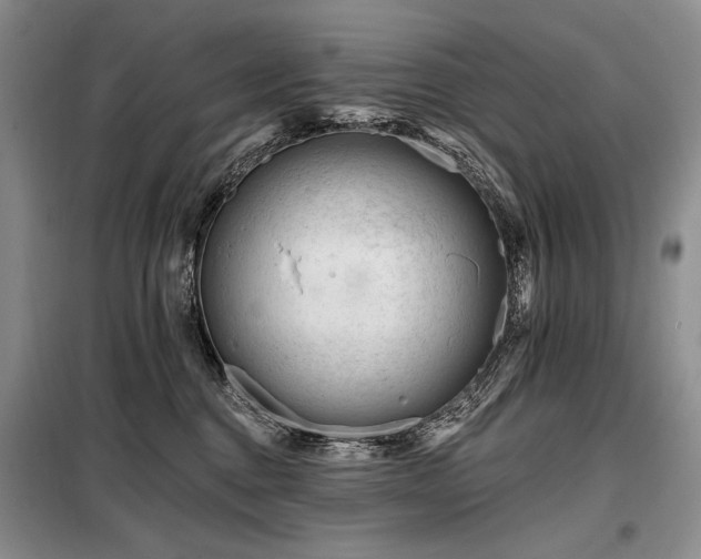 X0000098130376200804171527