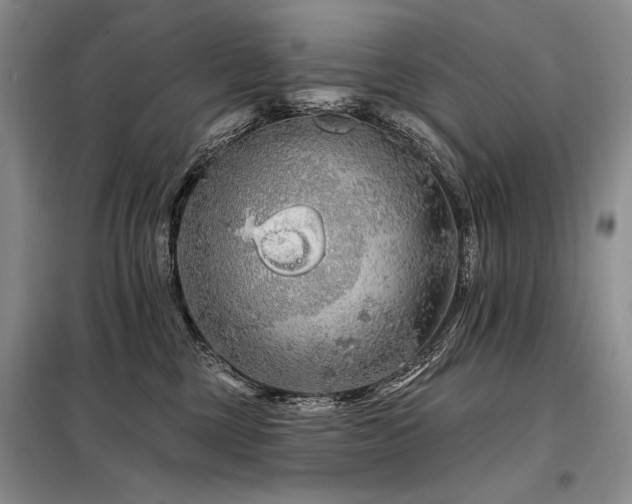 X0000098130377200804171527