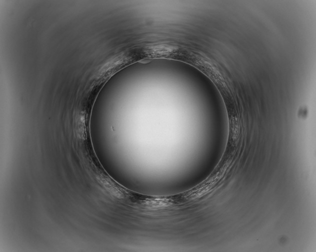 X0000098130378200804171527