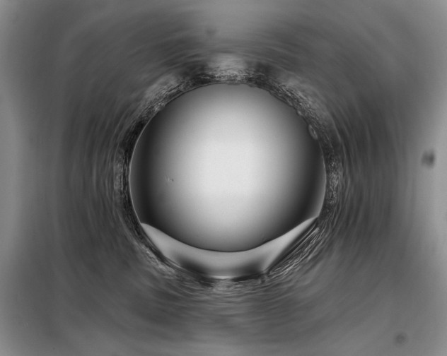 X0000098130379200804171527