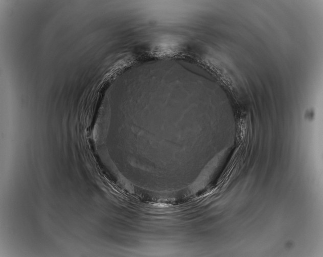 X0000098130380200804171527