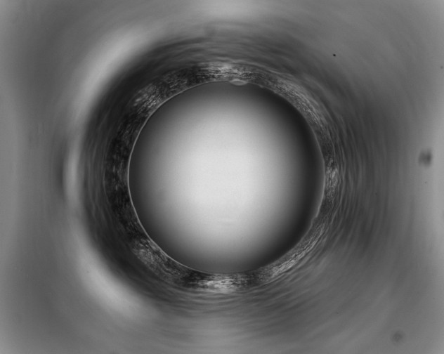 X0000098130381200804171527