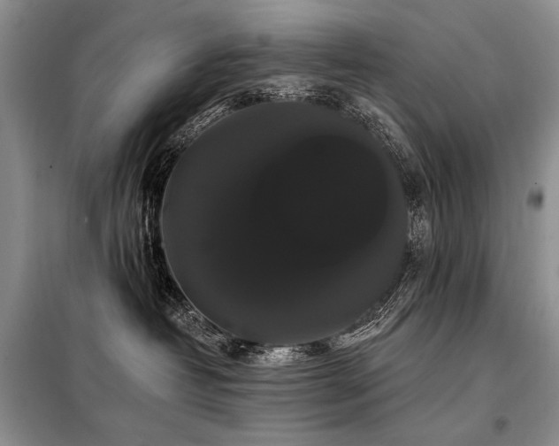 X0000098130382200804171528