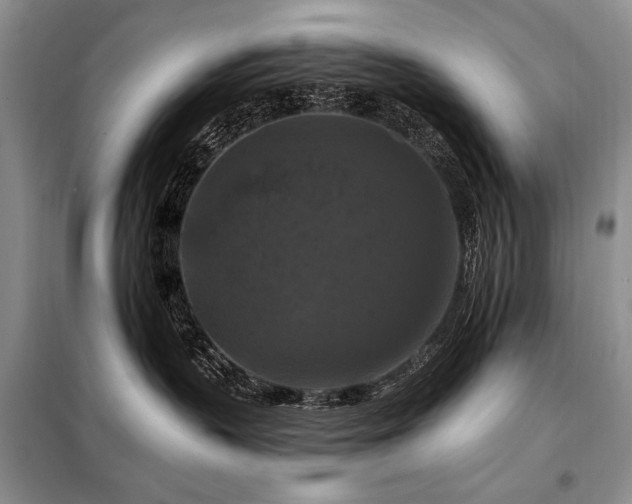 X0000098130383200804171528
