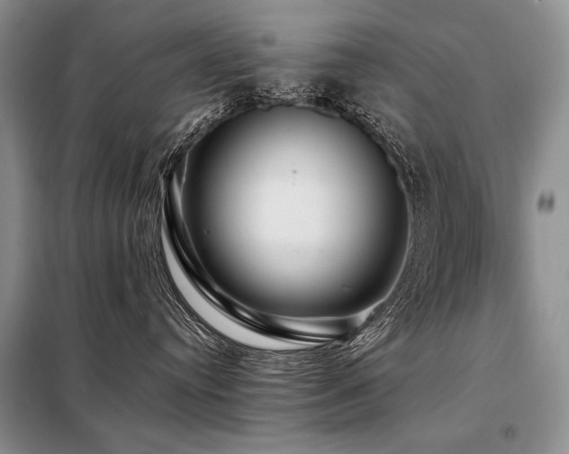 X0000098130384200804171528