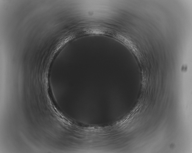 X0000098130386200804171527