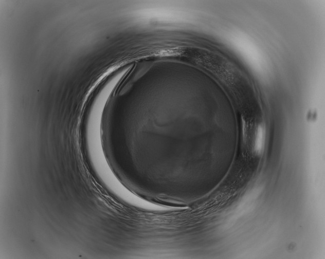 X0000098130387200804171527