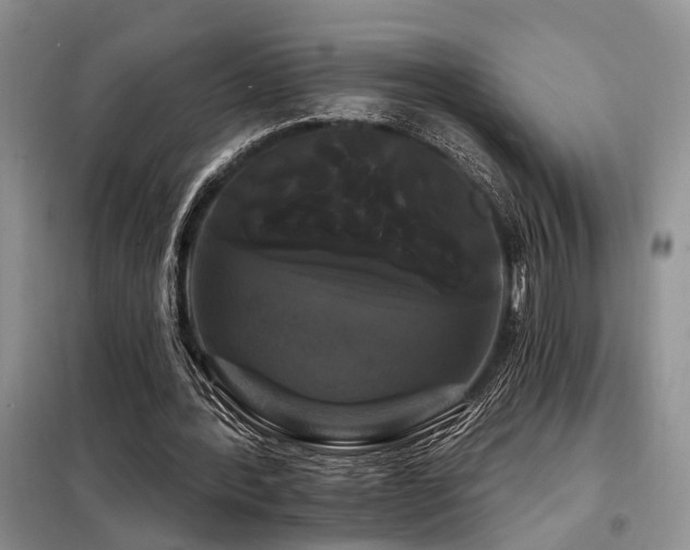 X0000098130388200804171527