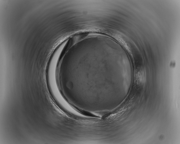 X0000098130389200804171527