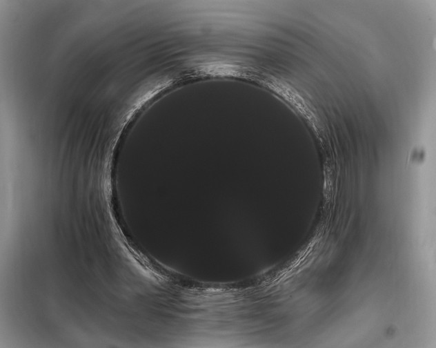 X0000098130390200804171527