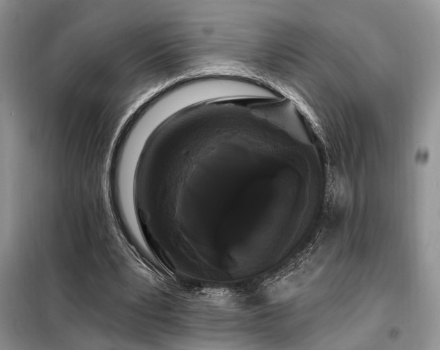 X0000098130391200804171527