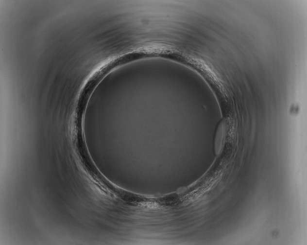X0000098130392200804171527