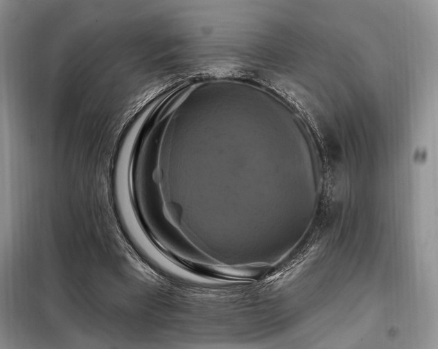 X0000098130393200804171527