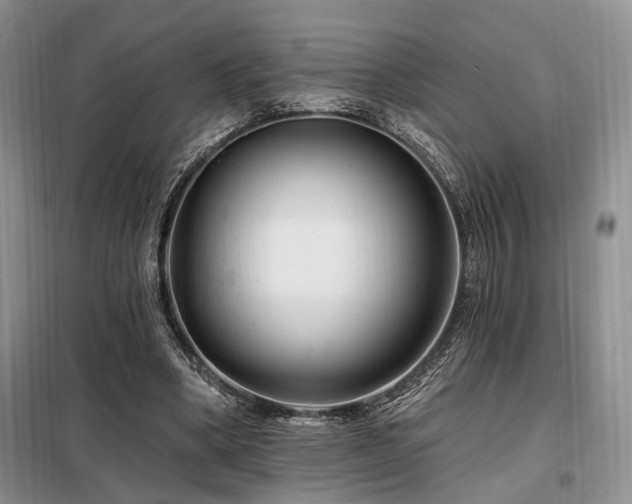 X0000098130394200804171527