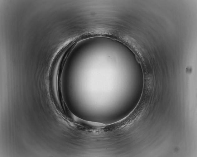 X0000098130395200804171527