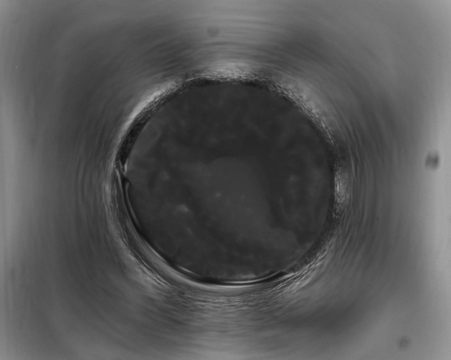 X0000098130396200804171527