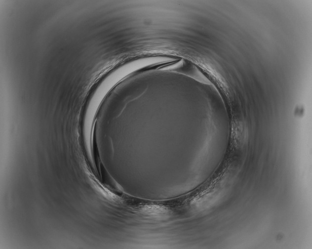 X0000098130397200804171527