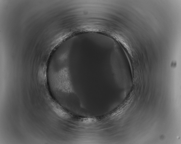X0000098130398200804171526