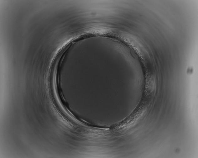 X0000098130399200804171526
