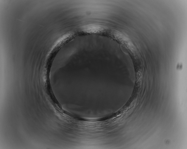 X0000098130400200804171526