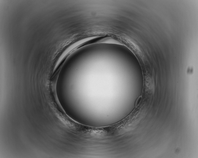 X0000098130401200804171526