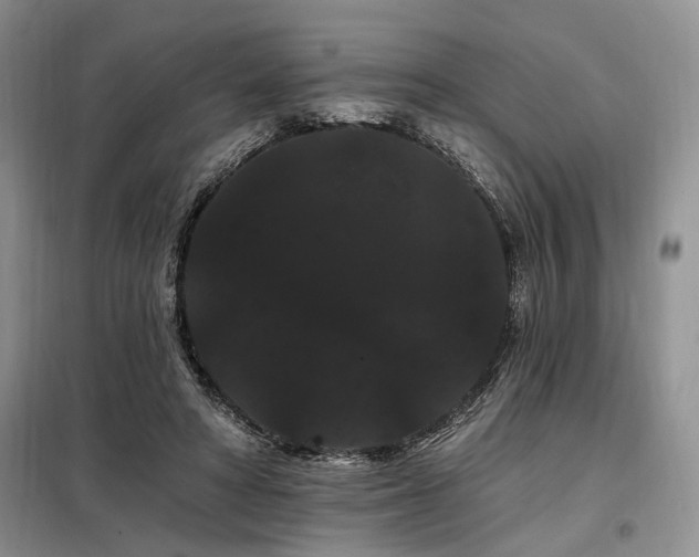 X0000098130402200804171526
