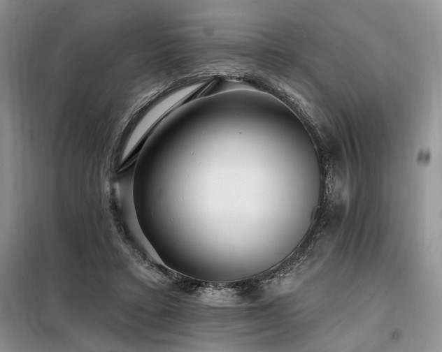X0000098130403200804171526