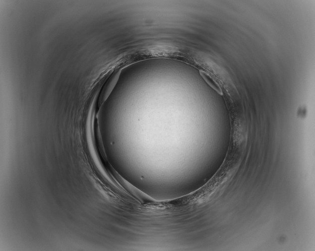 X0000098130405200804171526
