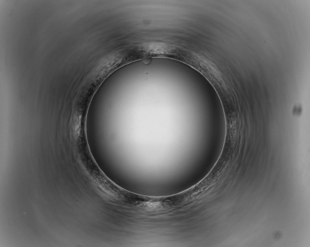 X0000098130406200804171526