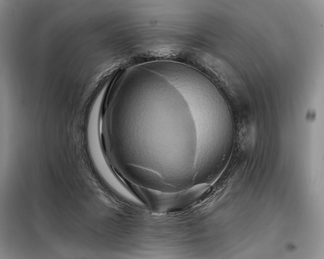 X0000098130407200804171526