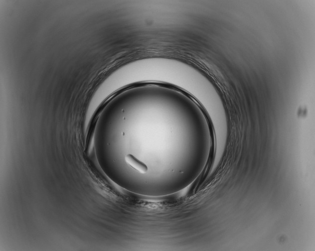 X0000098130409200804171526