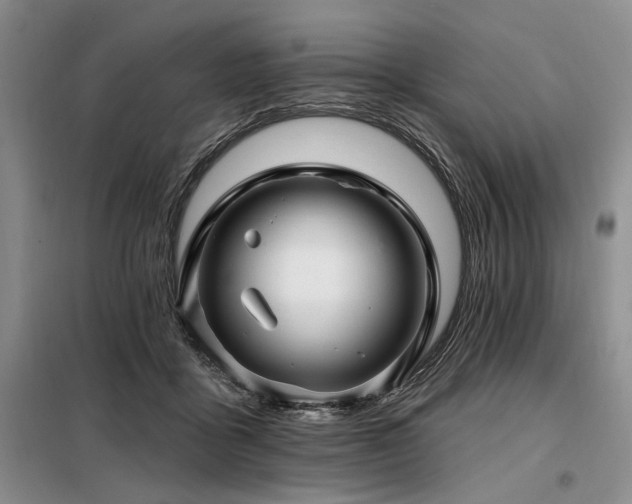 X0000098130411200804171526