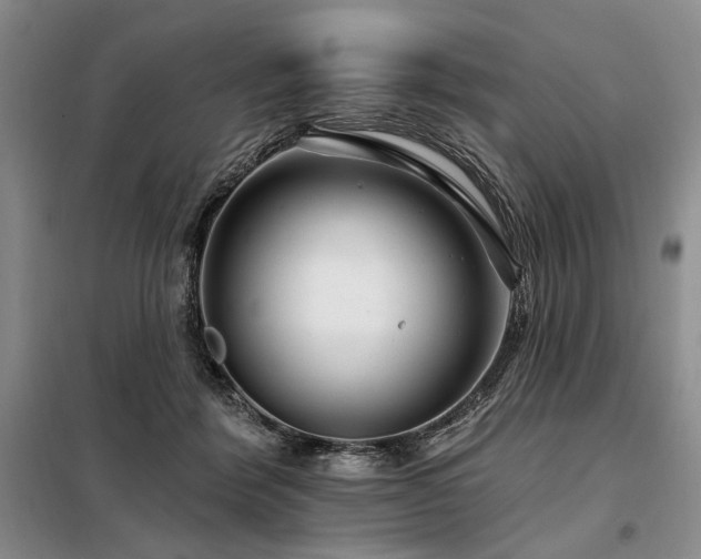 X0000098130412200804171526