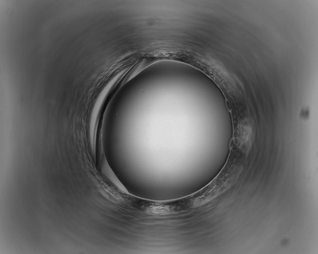 X0000098130413200804171526