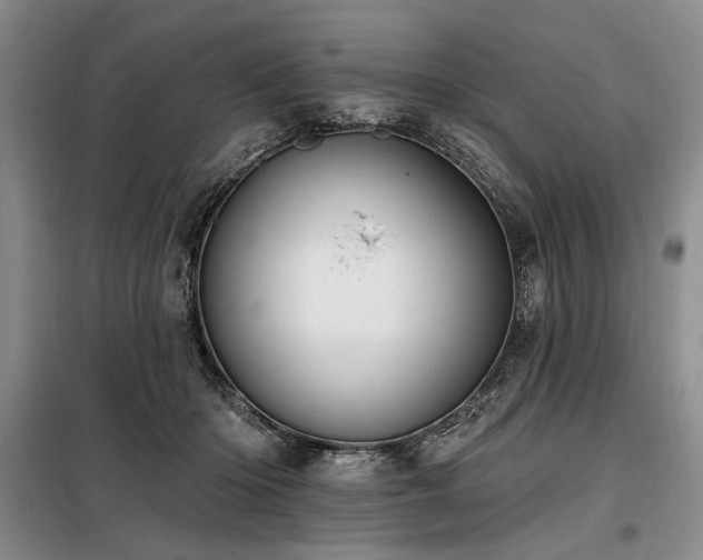 X0000098130414200804171526