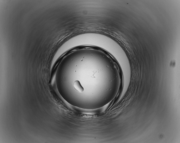 X0000098130415200804171526