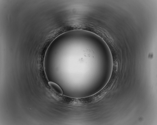 X0000098130416200804171526