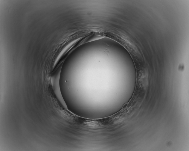 X0000098130417200804171526
