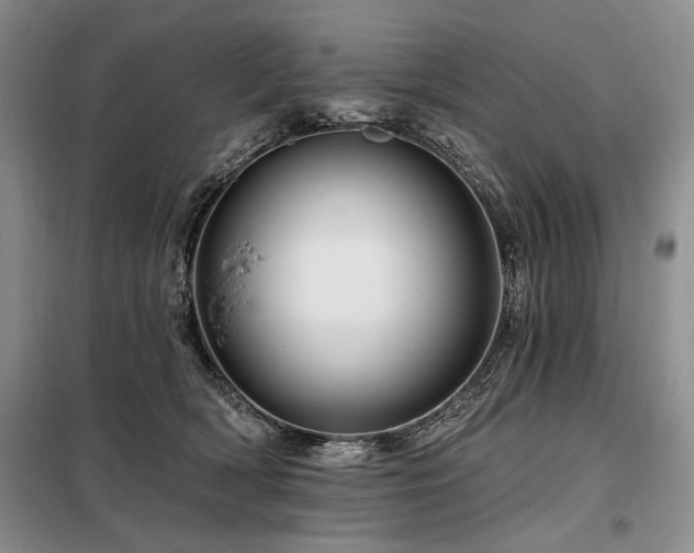 X0000098130418200804171526