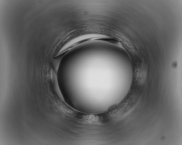 X0000098130421200804171526