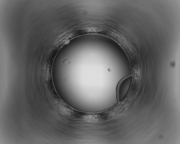 X0000098130422200804171526