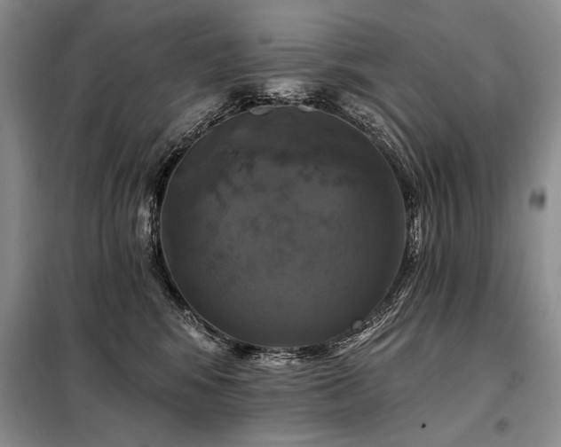X0000098130424200804171526