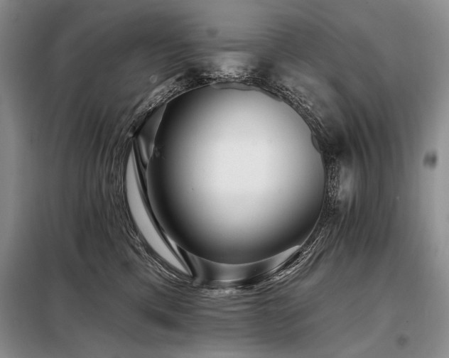 X0000098130425200804171526
