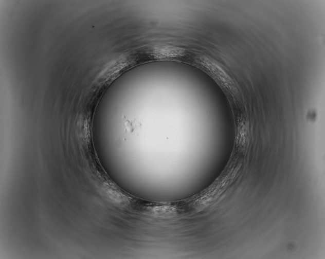 X0000098130426200804171526