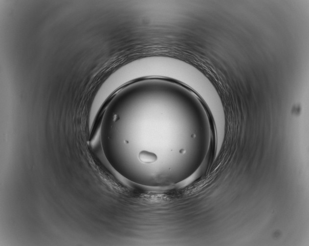 X0000098130427200804171526