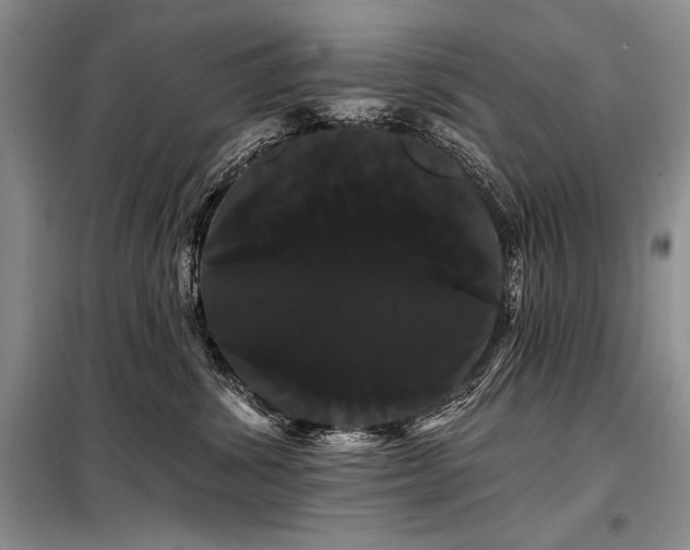 X0000098130428200804171526