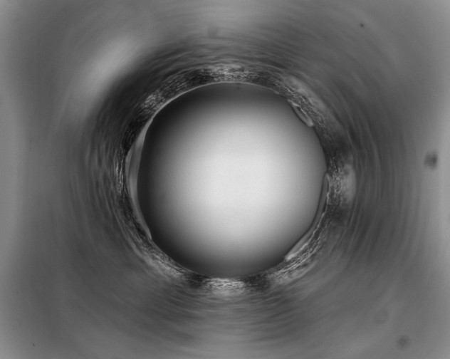 X0000098130429200804171526