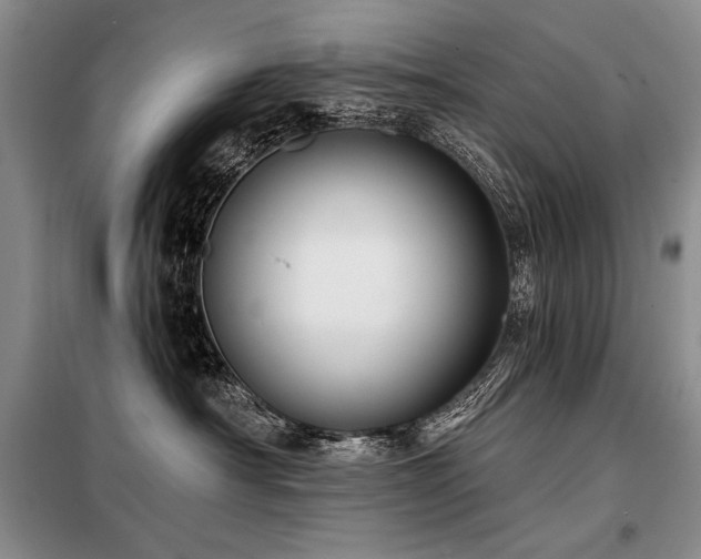 X0000098130430200804171526