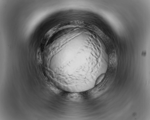 X0000098130431200804171526
